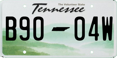 TN license plate B9004W
