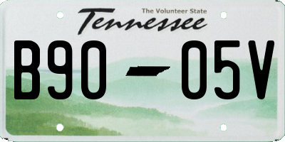 TN license plate B9005V