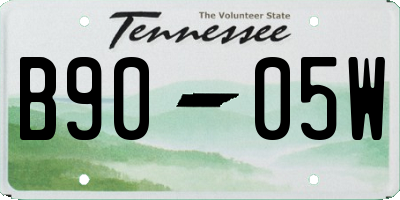 TN license plate B9005W