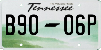 TN license plate B9006P
