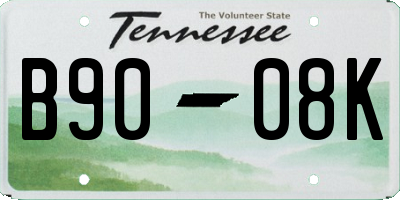 TN license plate B9008K