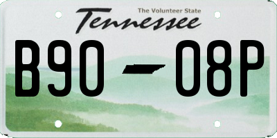 TN license plate B9008P
