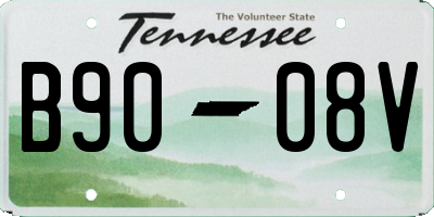 TN license plate B9008V