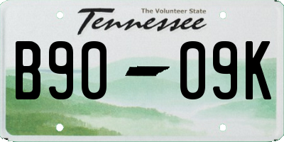 TN license plate B9009K