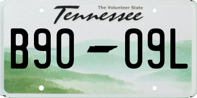 TN license plate B9009L