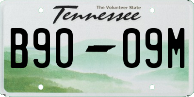 TN license plate B9009M