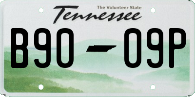 TN license plate B9009P