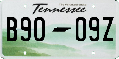 TN license plate B9009Z