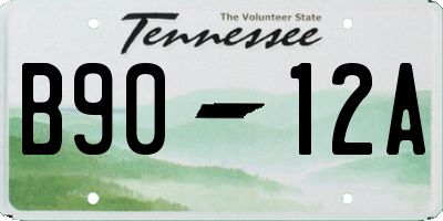 TN license plate B9012A