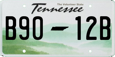 TN license plate B9012B