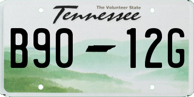 TN license plate B9012G