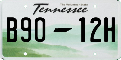 TN license plate B9012H