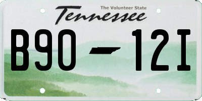 TN license plate B9012I
