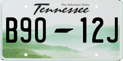TN license plate B9012J