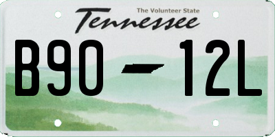 TN license plate B9012L