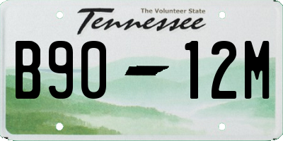 TN license plate B9012M