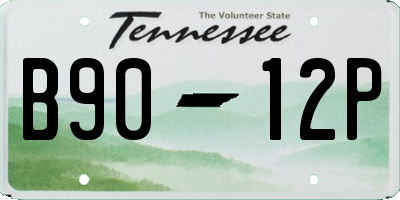 TN license plate B9012P