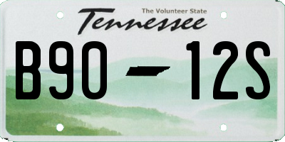 TN license plate B9012S