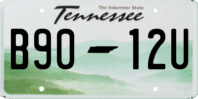 TN license plate B9012U