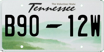 TN license plate B9012W