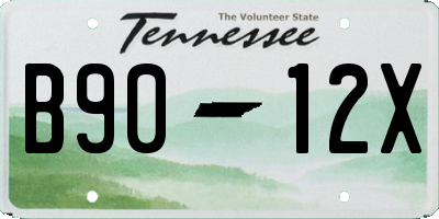 TN license plate B9012X