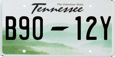 TN license plate B9012Y