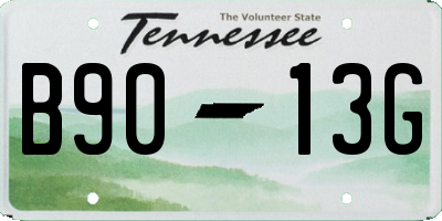 TN license plate B9013G