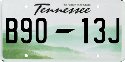 TN license plate B9013J