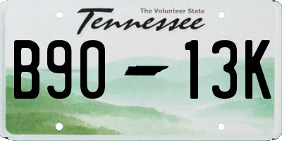 TN license plate B9013K