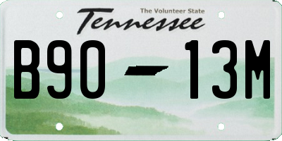 TN license plate B9013M