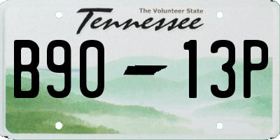 TN license plate B9013P