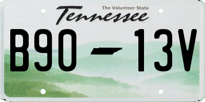 TN license plate B9013V