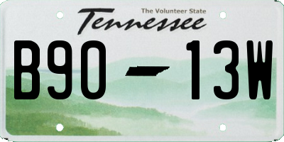 TN license plate B9013W