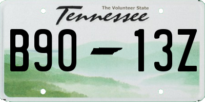 TN license plate B9013Z