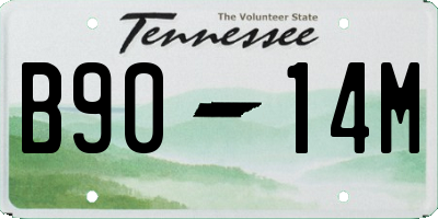 TN license plate B9014M