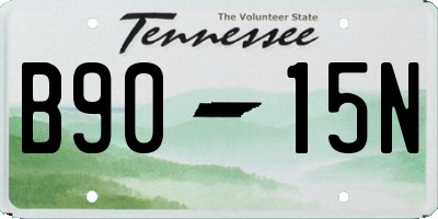 TN license plate B9015N