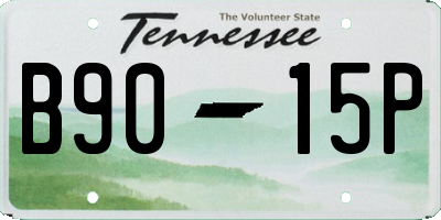 TN license plate B9015P