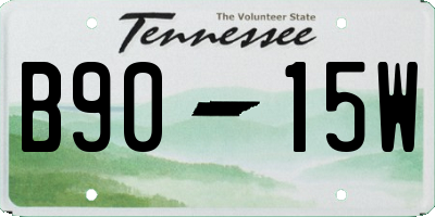 TN license plate B9015W