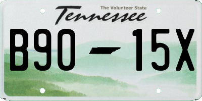 TN license plate B9015X