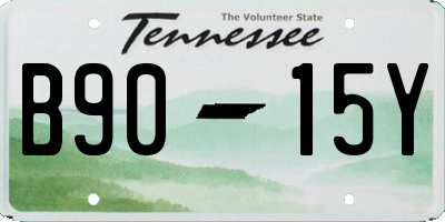 TN license plate B9015Y