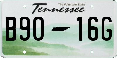 TN license plate B9016G