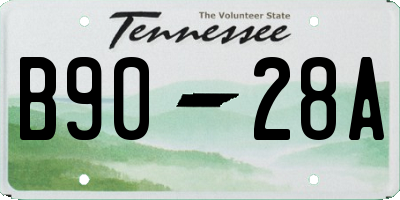 TN license plate B9028A