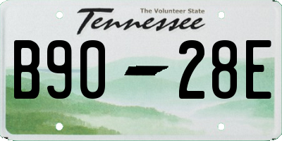 TN license plate B9028E