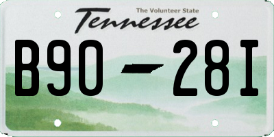 TN license plate B9028I