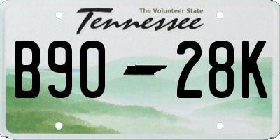 TN license plate B9028K