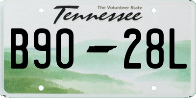 TN license plate B9028L