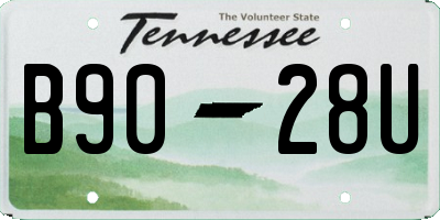 TN license plate B9028U