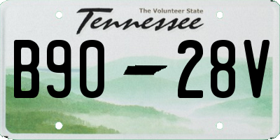 TN license plate B9028V