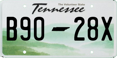 TN license plate B9028X