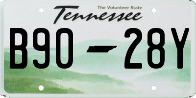 TN license plate B9028Y